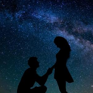Stay The Night