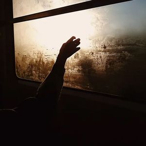 阳光亲吻 每颗心头