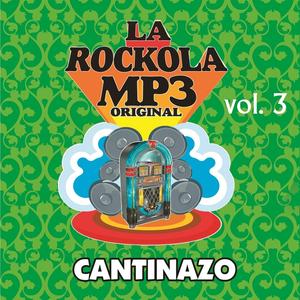 Gorrioncillo Pecho Amarillo