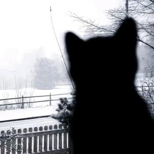 思念化成水Vol.09