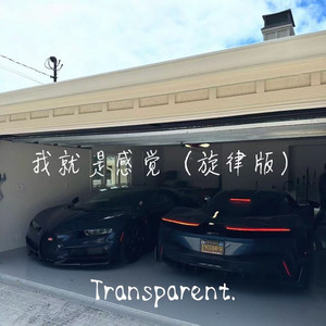 我就是感觉(旋律版)