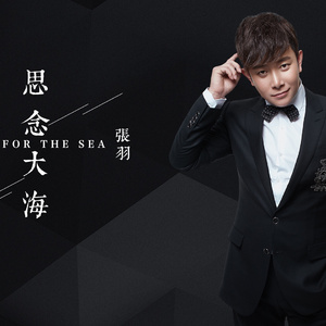 思念大海