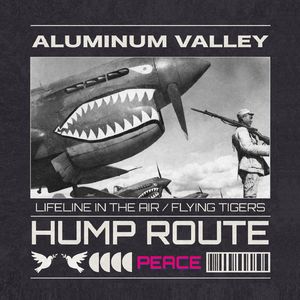 ALUMINUM VALLEY