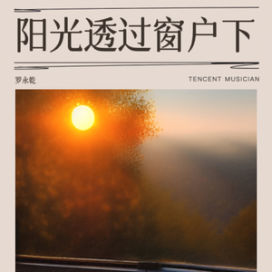 阳光透过窗户下