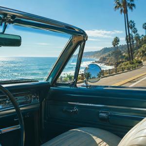 French Fry Salt on the Vinyl Seats