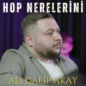 Hop Nerelerini
