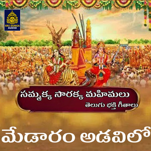 Medaram Adavillo (Sammakka Sarakka Mahimalu)