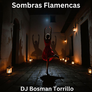 Sombras Flamencas