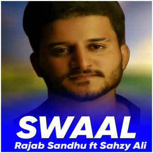 Swaal (1)