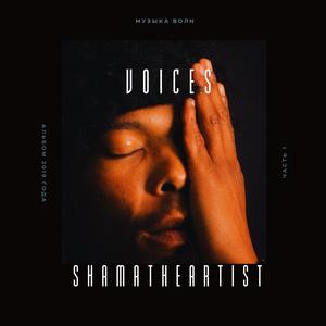 Voices