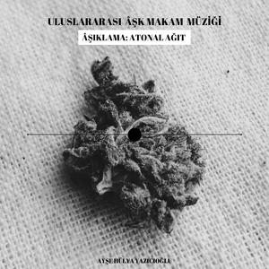 ESNEK ÇARPIŞMA. Elastic Collison. Makam Âşk. Â