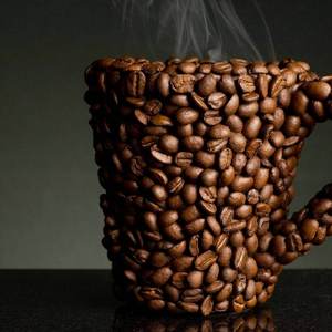 乌兰巴托的爸爸