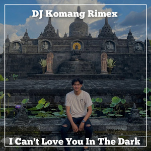 I Can't Love You in the Dark