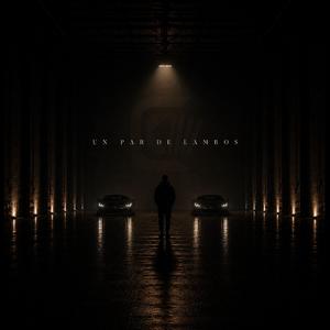 Par De Lambos