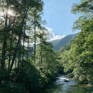 沙漠骆驼 (Cover 展展与罗罗)