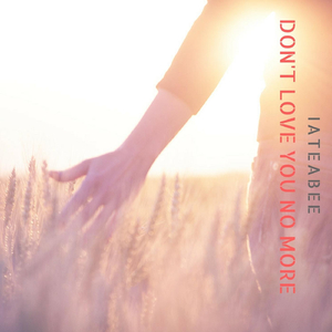 Don't Love You No More