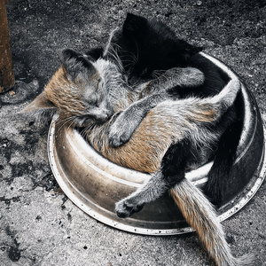 There Are So Many Eyes (Remix)