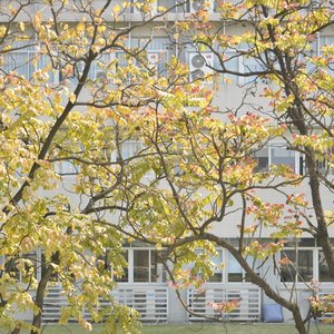 天谱乐-自研AI音乐大模型.wav