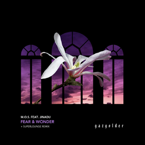 Fear & Wonder (Original Mix)