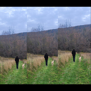 Samplestosongs14coastingsax