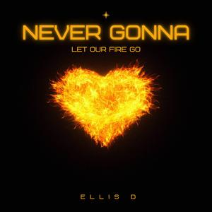 Never Gonna Let Our Fire Go