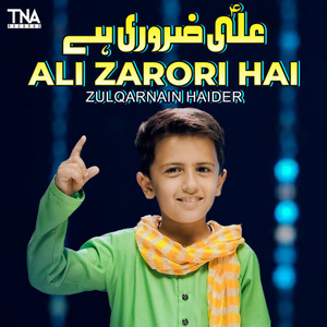 Ali Zarori Hai
