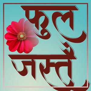 Phul jastai timi