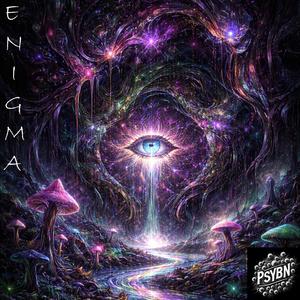 Enigma
