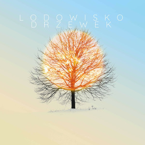 Lodowisko Drzewek