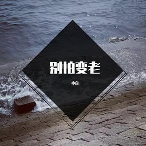 王以太-别怕变老（小白 remix）