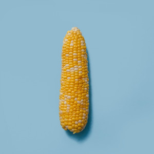 옥수수 Corn