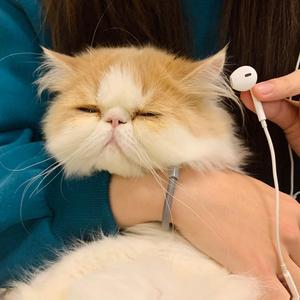 你听（prod.by jcb）