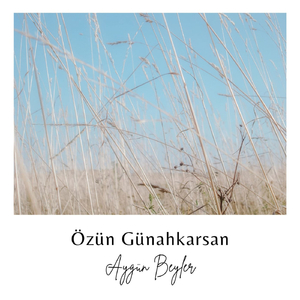 Özün Günahkarsan