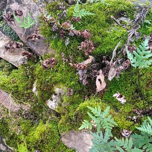 《旧梦与少年的逐光之旅》孤灯-悲伤-国风