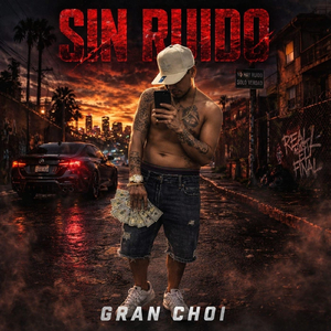 Sin Ruido