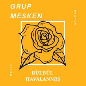 Bülbül Havalanmış