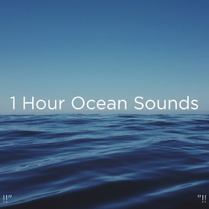 睡眠のための海の音