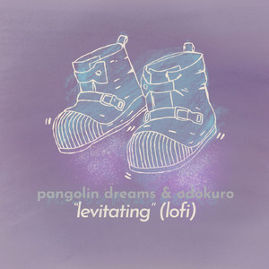 Levitating (lofi Version)