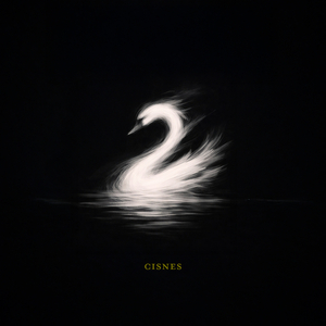 Cisnes