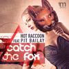 Hot Raccoon - Catch the Fox 2.0 (Hot Raccoon Mix)