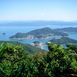 今日から明日へ