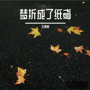 梦折成了纸鸢