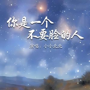 你是一个不要脸的人