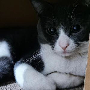 升堂（Instrumental）