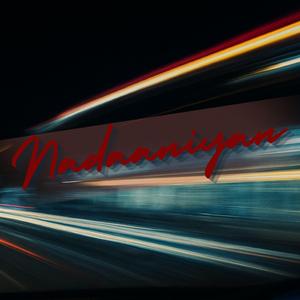 Nadaaniyan