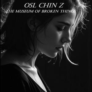 Glass Shards and Memories