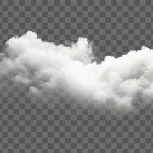 我的亲人（my kin）