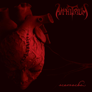 Chrysalid ('s Scarred)