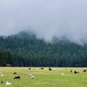 一支香烟的时间