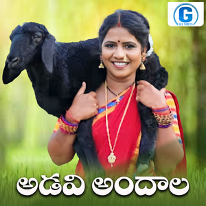 Adavi Andhala